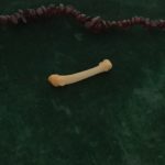 The Dog Bone represents living friends