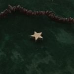 The Star represents success