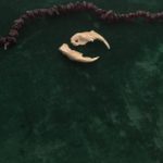 The Squirrel Jaws represent communication - pleasant or difficult