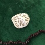 The Alligator Skute represents a shield, or the need to protect oneself