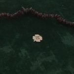 The Clover represents luck