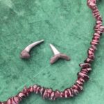 The Shark Teeth represent danger