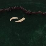 The Opossum Teeth represent the need to clean house