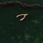 The Wishbone represents manifesting ones wishes