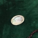 The Abalone Shell represents self-care (or lack thereof!)