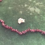 The Dragon represents ferocity