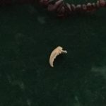 The Crab Claw represents serendipity