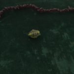 The Fish represents abundance