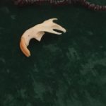 The Muskrat Jaw represents movement or progress - for good or ill 