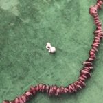 The Bottle signifies wishes