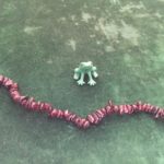 The Frog represents transformation and change