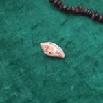 The Cantharus Shell represents a male receiving a reading