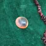 The Operculum Shell or Cat's Eye represents sight - what you see or don't (or refuse to) see