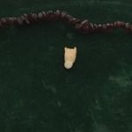 The Alligator Tooth signifies luck through striving